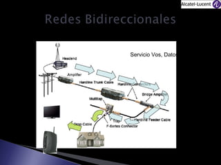 Servicio Vos, Datos e imágenes

 