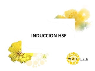 INDUCCION HSE
 