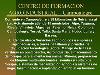 CENTRO DE FORMACION
AGROINDUSTRIAL – Campoalegre
Con sede en Campoalegre a 38 kilómetros de Neiva, vía al
sur. Actualmente atiende 15 municipios: Aipe, Yaguará,
Rivera, Villavieja, Algeciras, Palermo, Neiva, Colombia,
Campoalegre, Teruel, Tello, Santa María, Hobo, Iquira y
Baraya.
El Centro ofrece Servicios Tecnológicos a empresas
agropecuarias, a través de talleres y jornadas de
divulgación tecnológica, sobre: Manejo de frutas y
verduras en postcosecha, Agroindustria, almacenamiento
de forrajes para alimentación animal, Minería, preparación
de bloques multinutricionales, siembra y cultivo de
forrajes, sistemas de mecanización agrícola y sistemas de
riego. Inseminación e implantación artificial en bovinos
 