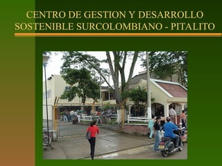 CENTRO DE GESTION Y DESARROLLO
SOSTENIBLE SURCOLOMBIANO - PITALITO
 