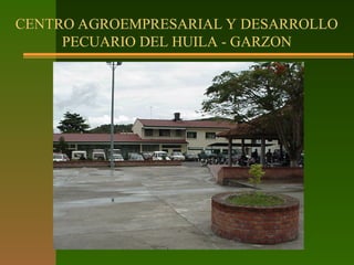 CENTRO AGROEMPRESARIAL Y DESARROLLO
PECUARIO DEL HUILA - GARZON
 
