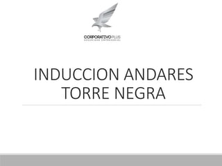 INDUCCION ANDARES
TORRE NEGRA
 