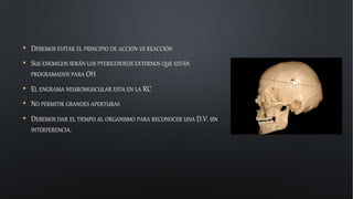 • DEBEMOS EVITAR EL PRINCIPIO DE ACCIÓN VS REACCIÓN
• SUS ENEMIGOS SERÁN LOS PTERIGOIDEOS EXTERNOS QUE ESTÁN
PROGRAMADOS PARA OH
• EL ENGRAMA NEUROMUSCULAR ESTA EN LA RC
• NO PERMITIR GRANDES APERTURAS
• DEBEMOS DAR EL TIEMPO AL ORGANISMO PARA RECONOCER UNA D.V. SIN
INTERFERENCIA.
 