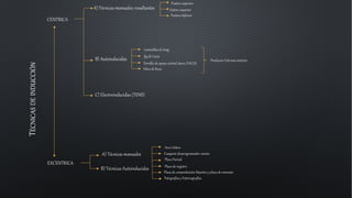 T
ÉCNICAS
DE
INDUCCIÓN
CENTRICA
EXCENTRICA
A) Técnicas manuales: resultantes
Postero superior
Antero superior
Postero Inferior
B) Autoinducidas
Laminillas de long
Jig de Lucia
Tornillo de apoyo central único (TACU)
Hilos de Roca
Producen Fulcrum anterior
C) Electroinducidas (TENS)
A) Técnicas manuales
B) Técnicas Autoinducidas
Arco Gótico
Casquete desprogramador canino
Placa Parcial
Placa de registro
Placa de comprobación Maestro y placa de remonta
Patografías y Estereografías
 