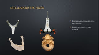 ARTICULADORES TIPO ARCÓN
• LOS CÓNDILOS MANDIBULARES EN LA
RAMA INFERIOR
• CAJAS CONDILARES EN LA RAMA
SUPERIOR
 