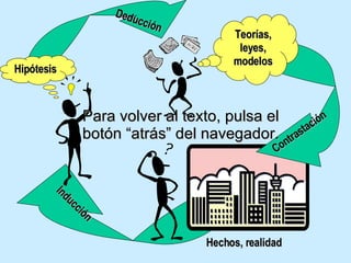 Hechos, realidad Contrastación Teorías, leyes, modelos Inducción Deducción Hipótesis Para volver al texto, pulsa el botón “atrás” del navegador. 