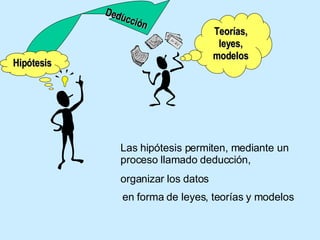 Hipótesis Teorías, leyes, modelos Deducción Las hipótesis permiten, mediante un proceso llamado deducción, organizar los datos en forma de leyes, teorías y modelos 