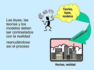 Las leyes, las teorías y los modelos deben ser contrastados con la realidad Contrastación Teorías, leyes, modelos reanudándose así el proceso Hechos, realidad 
