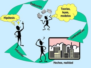 Hechos, realidad Contrastación Teorías, leyes, modelos Inducción Deducción Hipótesis 