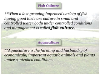 **When a last growing improved variety of fish
having good taste are culture in small and
controlled water body under controlled conditions
and management is called fish culture.
**Aquaculture is the farming and husbandry of
economically important aquatic animals and plants
under controlled conditions.
2
 