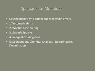 • Caused mainly by: Spntaneous replication errors..
• 1.Tautomeric shifts
• 2. Wobble base pairing
• 3. Strand slippage
• 4. unequal crossing over
• 5. Spontaneous Chemical Changes : Depurination,
Deamination
 