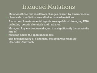 • Mutations those that result from changes caused by environmental
 chemicals or radiation are called as induced mutations.
• A number of environmental agents are capable of damaging DNA
including certain chemicals and radiation.
• Mutagen:Any environmental agent that significantly increases the
rate of
 mutation above the spontaneous rate.
• The first discovery of a chemical mutagen was made by
Charlotte Auerbach.
 