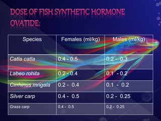 Species Females (ml/kg) Males (ml/kg)
Catla catla 0.4 - 0.5 0.2 - 0.3
Labeo rohita 0.2 - 0.4 0.1 - 0.2
Cirrhinus mrigala 0.2 - 0.4 0.1 - 0.2
Silver carp 0.4 - 0.5 0.2 - 0.25
Grass carp 0.4 - 0.5 0.2 - 0.25
 