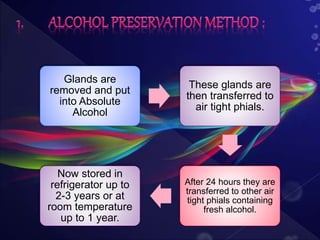 Glands are
removed and put
into Absolute
Alcohol
These glands are
then transferred to
air tight phials.
After 24 hours they are
transferred to other air
tight phials containing
fresh alcohol.
Now stored in
refrigerator up to
2-3 years or at
room temperature
up to 1 year.
 