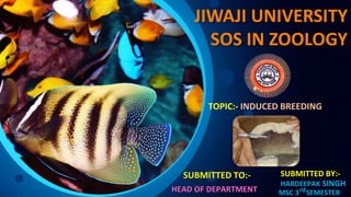 JIWAJI UNIVERSITY
SOS IN ZOOLOGY
TOPIC:- INDUCED BREEDING
SUBMITTED TO:-
HEAD OF DEPARTMENT
SUBMITTED BY:-
HARDEEPAK SINGH
MSC 3 SEMESTER
rd
 