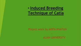 • Induced Breeding
Technique of Catla
Project work by ARIFA KHATUN
-
ALIAH UNIVERSITY
 
