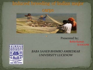 Presented by;
Rohit Kumar
B.VOCLPM
BABA SAHEB BHIMRO AMBEDKAR
UNIVERSITY LUCKNOW
 