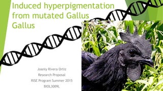 Induced hyperpigmentation
from mutated Gallus
gallus
Joanly Rivera Ortiz
Research Proposal
RISE Program Summer 2015
BIOL3009L
 