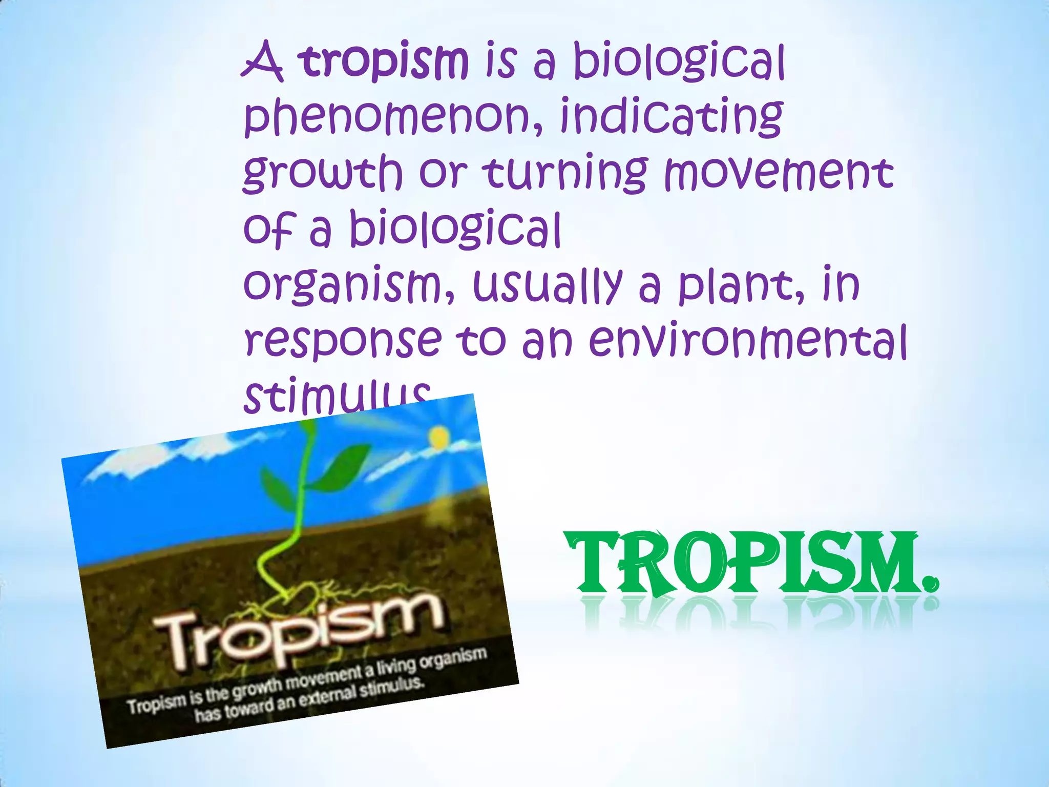 A tropism is a biological
phenomenon, indicating
growth or turning movement
of a biological
organism, usually a plant, in
response to an environmental
stimulus.


              Tropism.
 
