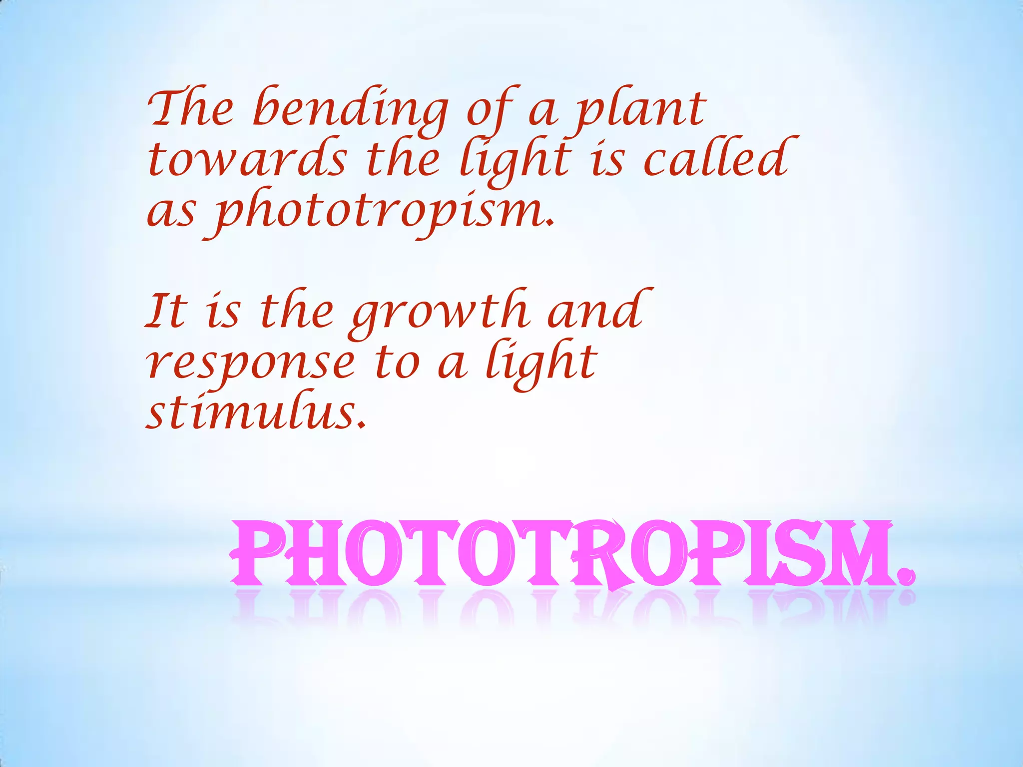 The bending of a plant
towards the light is called
as phototropism.

It is the growth and
response to a light
stimulus.


   Phototropism.
 