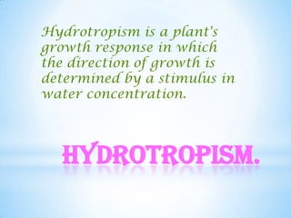 Hydrotropism is a plant's
growth response in which
the direction of growth is
determined by a stimulus in
water concentration.




  Hydrotropism.
 
