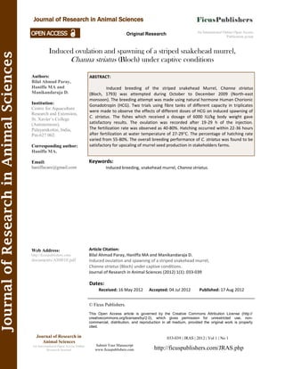 JournalofResearchinAnimalSciences
Induced ovulation and spawning of a striped snakehead murrel,
Channa striatus (Bloch) under captive conditions
Keywords:
Induced breeding, snakehead murrel, Channa striatus.
ABSTRACT:
Induced breeding of the striped snakehead Murrel, Channa striatus
(Bloch, 1793) was attempted during October to December 2009 (North-east
monsoon). The breeding attempt was made using natural hormone Human Chorionic
Gonadotropin (HCG). Two trials using fibre tanks of different capacity in triplicates
were made to observe the effects of different doses of HCG on induced spawning of
C. striatus. The fishes which received a dosage of 6000 IU/kg body weight gave
satisfactory results. The ovulation was recorded after 19-29 h of the injection.
The fertilization rate was observed as 40-80%. Hatching occurred within 22-36 hours
after fertilization at water temperature of 27-29°C. The percentage of hatching rate
varied from 55-80%. The overall breeding performance of C. striatus was found to be
satisfactory for upscaling of murrel seed production in stakeholders farms.
033-039 | JRAS | 2012 | Vol 1 | No 1
© Ficus Publishers.
This Open Access article is governed by the Creative Commons Attribution License (http://
creativecommons.org/licenses/by/2.0), which gives permission for unrestricted use, non-
commercial, distribution, and reproduction in all medium, provided the original work is properly
cited.
Submit Your Manuscript
www.ficuspublishers.com http://ficuspublishers.com/JRAS.php
Journal of Research in
Animal Sciences
An International Open Access Online
Research Journal
Authors:
Bilal Ahmad Paray,
Haniffa MA and
Manikandaraja D.
Institution:
Centre for Aquaculture
Research and Extension,
St. Xavier’s College
(Autonomous),
Palayamkottai, India,
Pin-627 002.
Corresponding author:
Haniffa MA.
Email:
haniffacare@gmail.com
Web Address:
http://ficuspublishers.com/
documents/AS0010.pdf
Dates:
Received: 16 May 2012 Accepted: 04 Jul 2012 Published: 17 Aug 2012
Article Citation:
Bilal Ahmad Paray, Haniffa MA and Manikandaraja D.
Induced ovulation and spawning of a striped snakehead murrel,
Channa striatus (Bloch) under captive conditions.
Journal of Research in Animal Sciences (2012) 1(1): 033-039
Journal of Research in Animal Sciences
An International Online Open Access
Publication group
Original Research
 