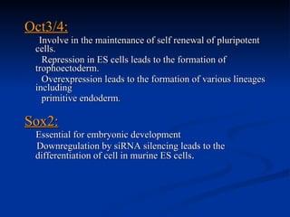 Oct3/4:   Involve in the maintenance of self renewal of pluripotent cells. Repression in ES cells leads to the formation of trophoectoderm. Overexpression leads to the formation of various lineages including primitive endoderm . Sox2: Essential for embryonic development Downregulation by siRNA silencing leads to the differentiation of cell in murine ES cells . 