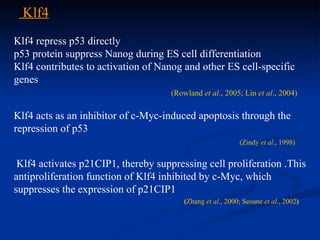 Klf4 Klf4 repress p53 directly p53 protein suppress Nanog during ES cell differentiation  Klf4 contributes to activation of Nanog and other ES cell-specific genes (Rowland  et al ., 2005; Lin  et al ., 2004) Klf4 acts as an inhibitor of c-Myc-induced apoptosis through the  repression of p53 (Zindy  et al ., 1998) Klf4 activates p21CIP1, thereby suppressing cell proliferation .This antiproliferation function of Klf4 inhibited by c-Myc, which suppresses the expression of p21CIP1 ( Zhang  et al ., 2000; Seoane  et al ., 2002 ) 