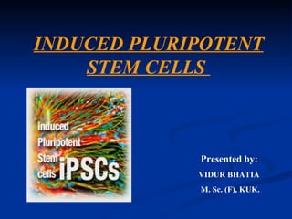 INDUCED PLURIPOTENT STEM CELLS  Presented by: VIDUR BHATIA M. Sc. (F), KUK. 