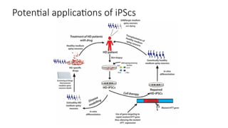 Induced Pluripotent Stem Cells and Its a | PPTX