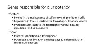 Induced Pluripotent Stem Cells and Its a | PPTX