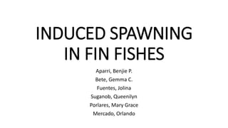 INDUCED SPAWNING
IN FIN FISHES
Aparri, Benjie P.
Bete, Gemma C.
Fuentes, Jolina
Suganob, Queenilyn
Porlares, Mary Grace
Mercado, Orlando
 