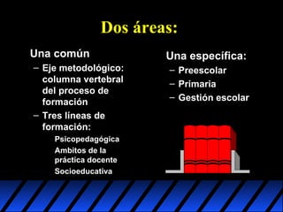 Dos áreas:
Una común
– Eje metodológico:
columna vertebral
del proceso de
formación
– Tres líneas de
formación:
Psicopedagógica
Ambitos de la
práctica docente
Socioeducativa

Una específica:
– Preescolar
– Primaria
– Gestión escolar

 