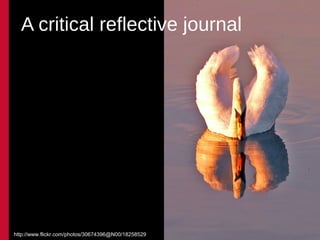 A critical reflective journal




http://www.flickr.com/photos/30674396@N00/18258529
 