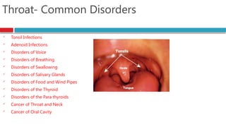 Ent Slides Induction into an ENT Hospital (Introducing ENT) | PPTX