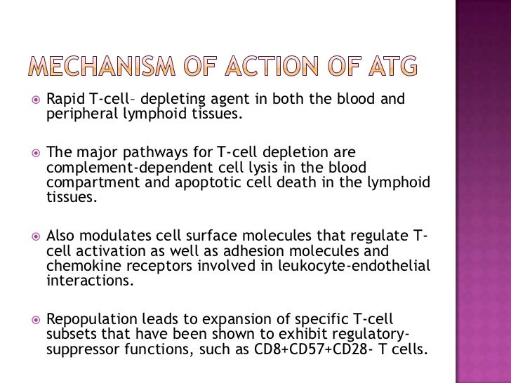 Induction agents in renal transplantation