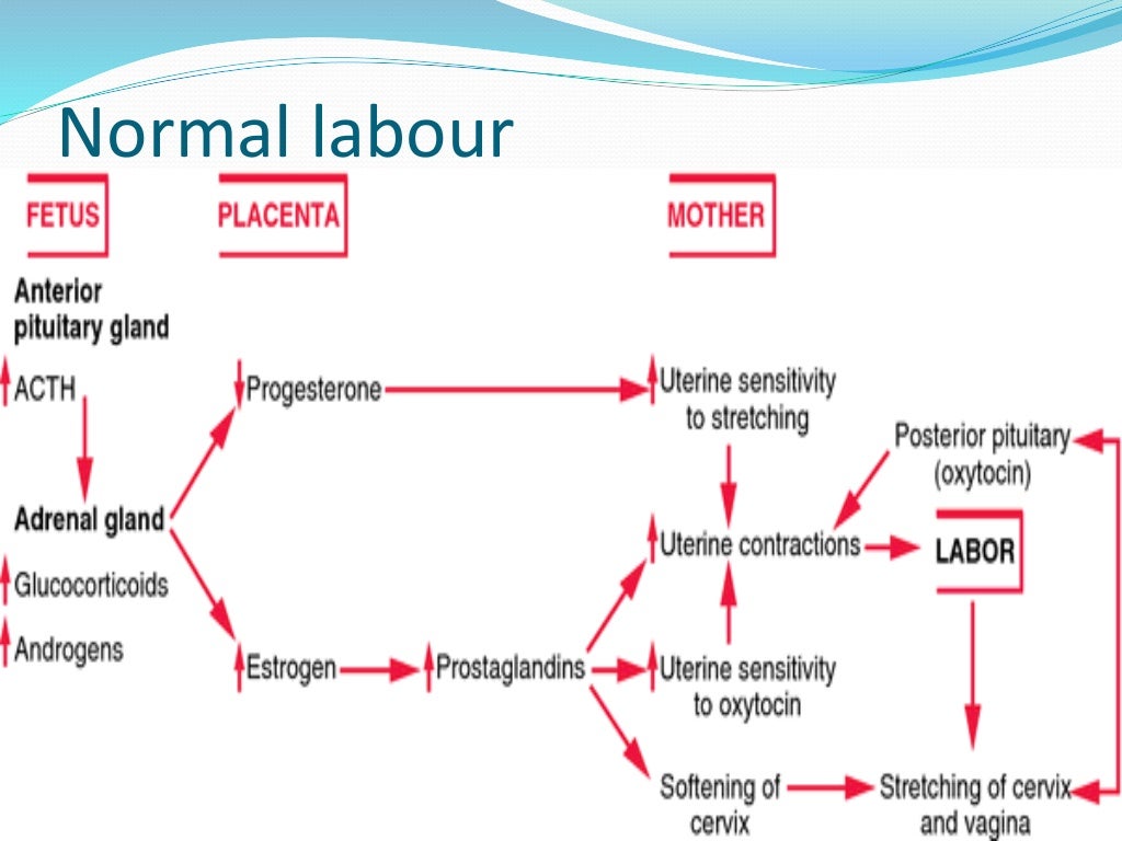 Induction and augmentation of labour