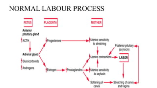 Nhs Labour Algorithm Image Comprehensive Guide to Induction and Augmentation of Labour in ...