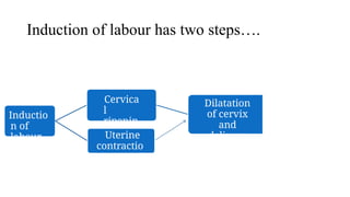 Comprehensive Guide to Induction and Augmentation of Labour in ...