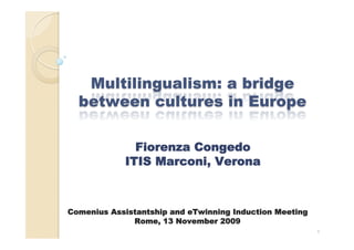 Fiorenza Congedo
            ITIS Marconi, Verona



Comenius Assistantship and eTwinning Induction Meeting
              Rome, 13 November 2009
                                                         1
 