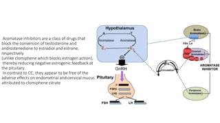 Aromatase inhibitors are a class of drugs that
block the conversion of testosterone and
androstenedione to estradiol and estrone,
respectively
(unlike clomiphene which blocks estrogen action),
thereby reducing negative estrogenic feedback at
the pituitary.
In contrast to CC, they appear to be free of the
adverse effects on endometrial and cervical mucus
attributed to clomiphene citrate
 