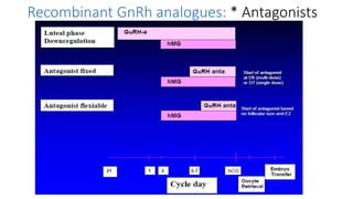 Recombinant GnRh analogues: * Antagonists
 