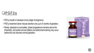 PGF2α
 