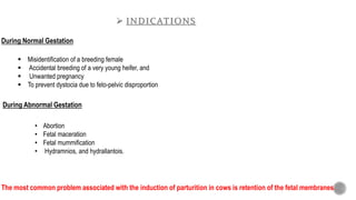  Misidentification of a breeding female
 Accidental breeding of a very young heifer, and
 Unwanted pregnancy
 To prevent dystocia due to feto-pelvic disproportion
 INDICATIONS
During Normal Gestation
• Abortion
• Fetal maceration
• Fetal mummification
• Hydramnios, and hydrallantois.
During Abnormal Gestation
The most common problem associated with the induction of parturition in cows is retention of the fetal membranes.
 
