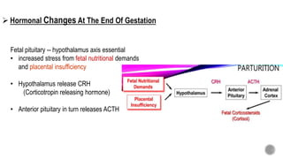 Fetal pituitary -- hypothalamus axis essential
• increased stress from fetal nutritional demands
and placental insufficiency
• Hypothalamus release CRH
(Corticotropin releasing hormone)
• Anterior pituitary in turn releases ACTH
 Hormonal Changes At The End Of Gestation
 