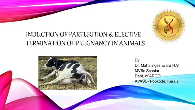 Induction of parturition & elective termination of pregnancy | PPTX