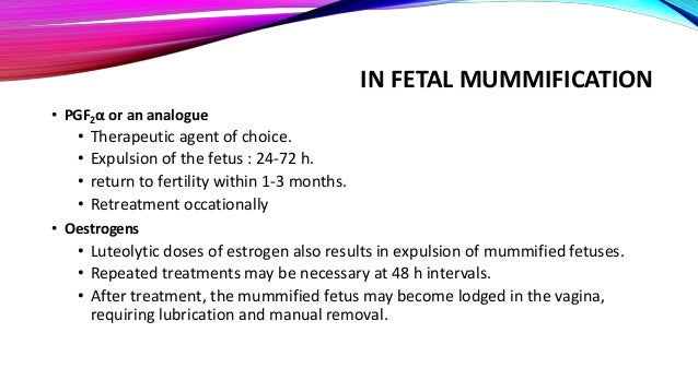 Dexamethasone For Dogs Abortion