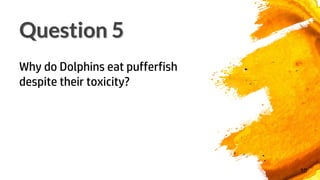 Question 5
10
Why do Dolphins eat pufferfish
despite their toxicity?
 