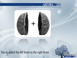 You’ve added the left brain to the right brain. 