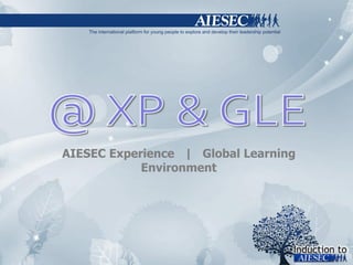 AIESEC Experience  |  Global Learning Environment 